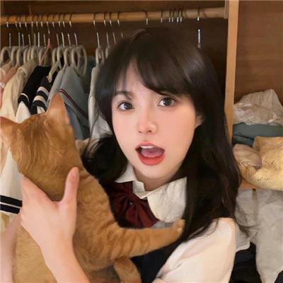 美人追