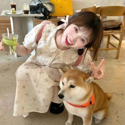 关于一个女孩